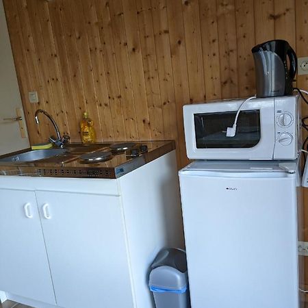 Au Petit Chalet D'Illiers Combray - Salle D'Eau Uniquement Bagian luar foto
